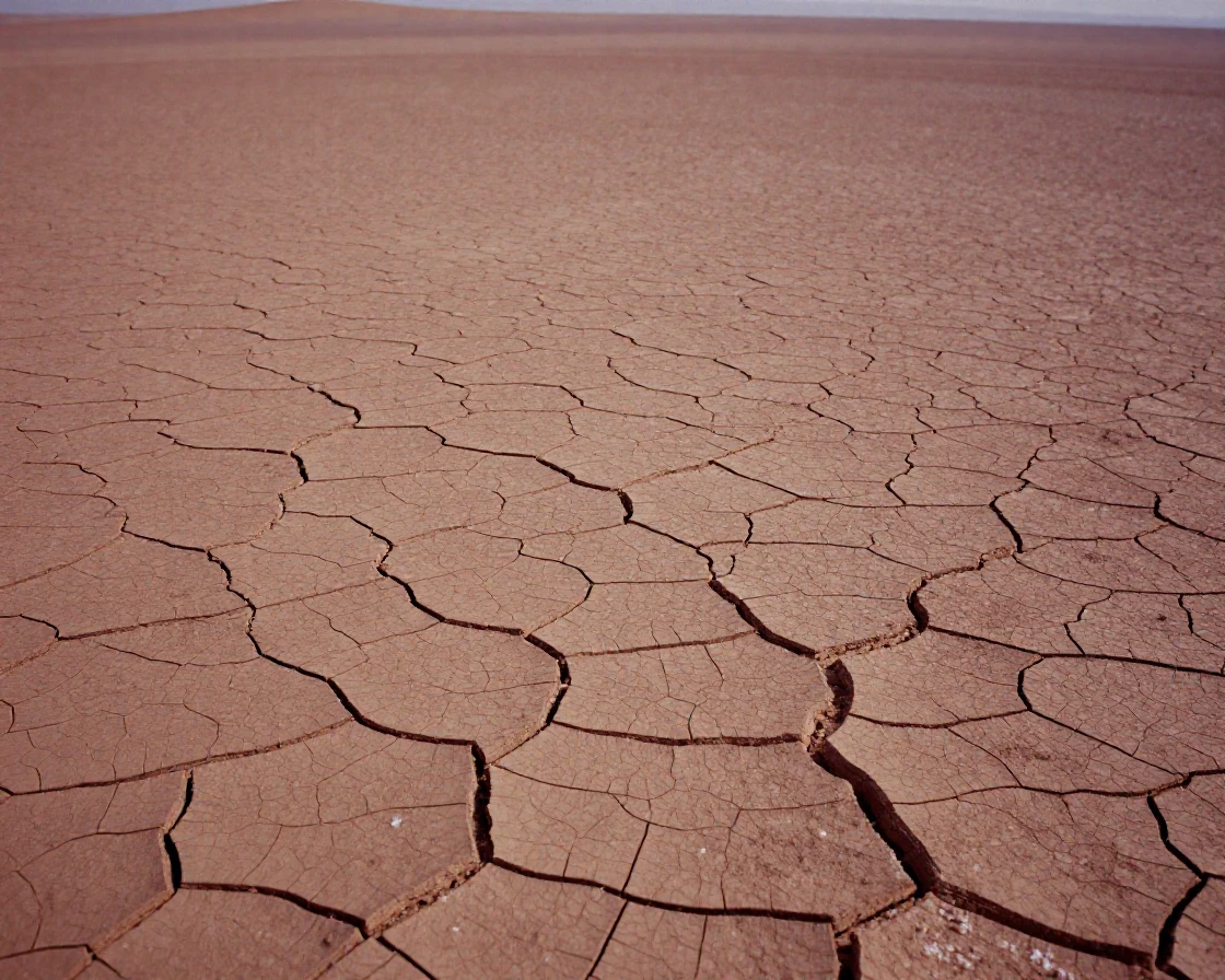 Cracked, dry earth stretching across a wide desert basin, in gentle diffused daylight, as heat shimmers over the ground, under the first snow of winter, in earthy terracotta and ochre shades, at eye level, intimate and direct.