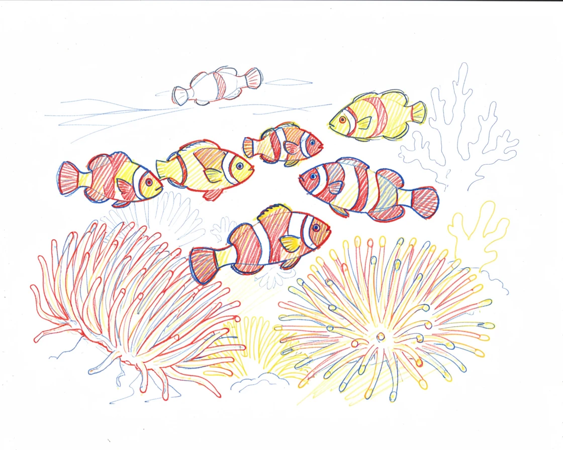 A school of colorful clownfish darting among sea anemones on a coral reef