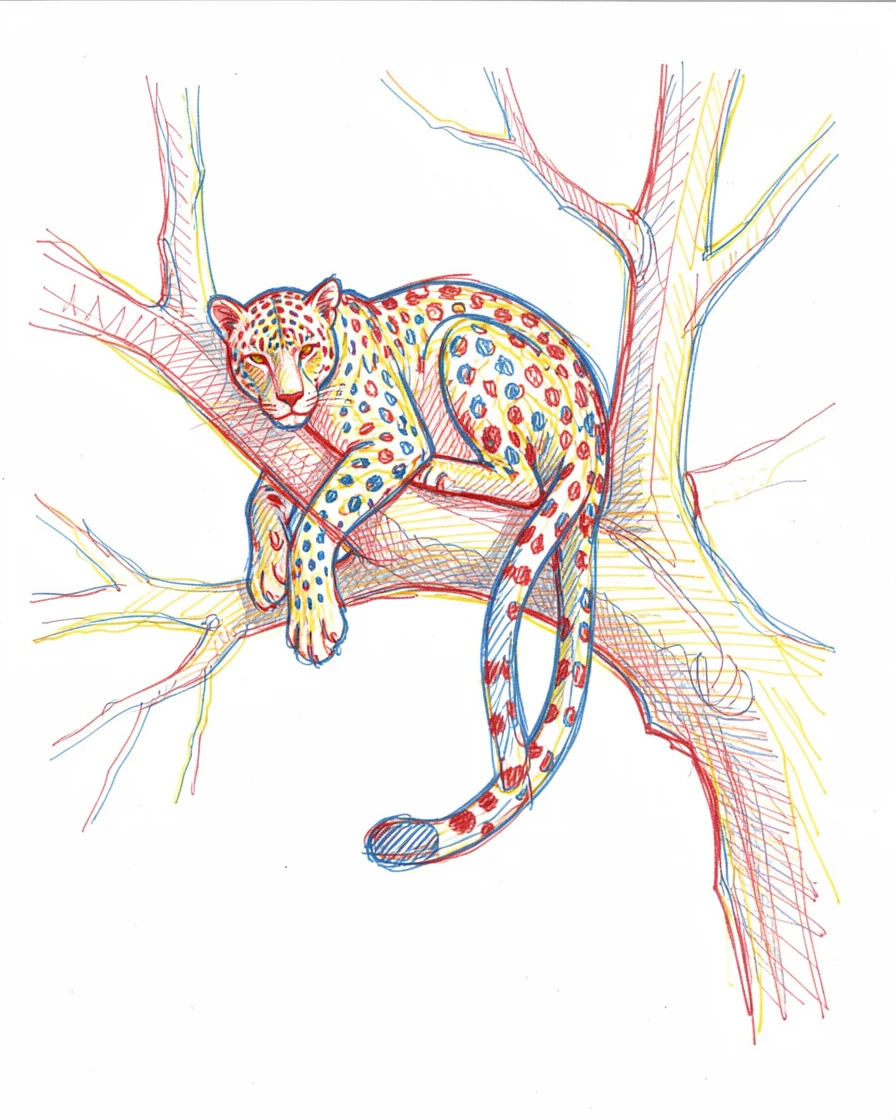 A leopard resting in the fork of a tree, tail dangling below the branch