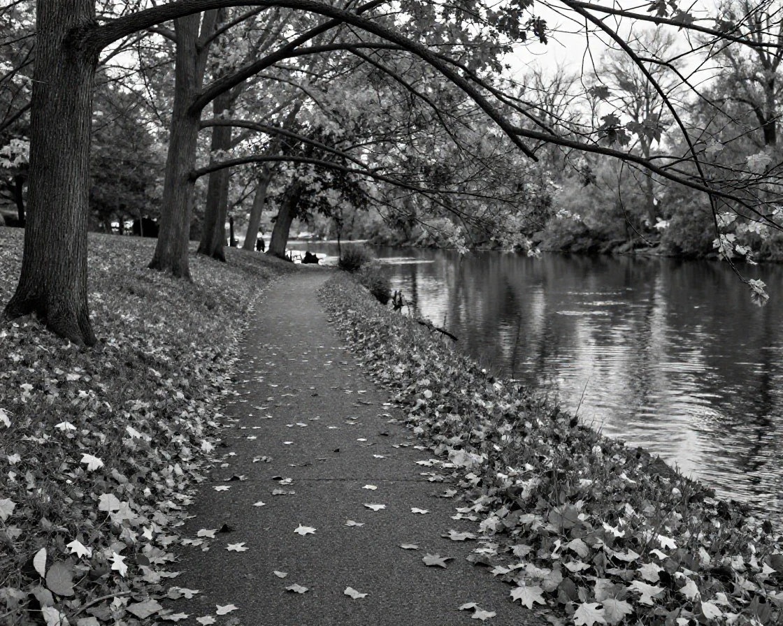 An autumn leaf-covered park crunches underfoot along a quiet path along a riverside walking path.