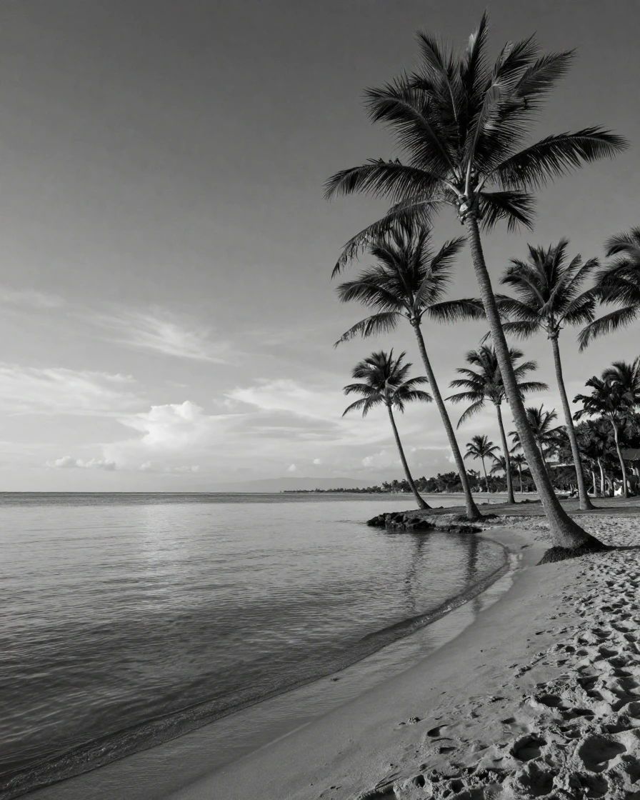 A row of palm trees sways gently in the ocean breeze beside a quiet tropical cove.