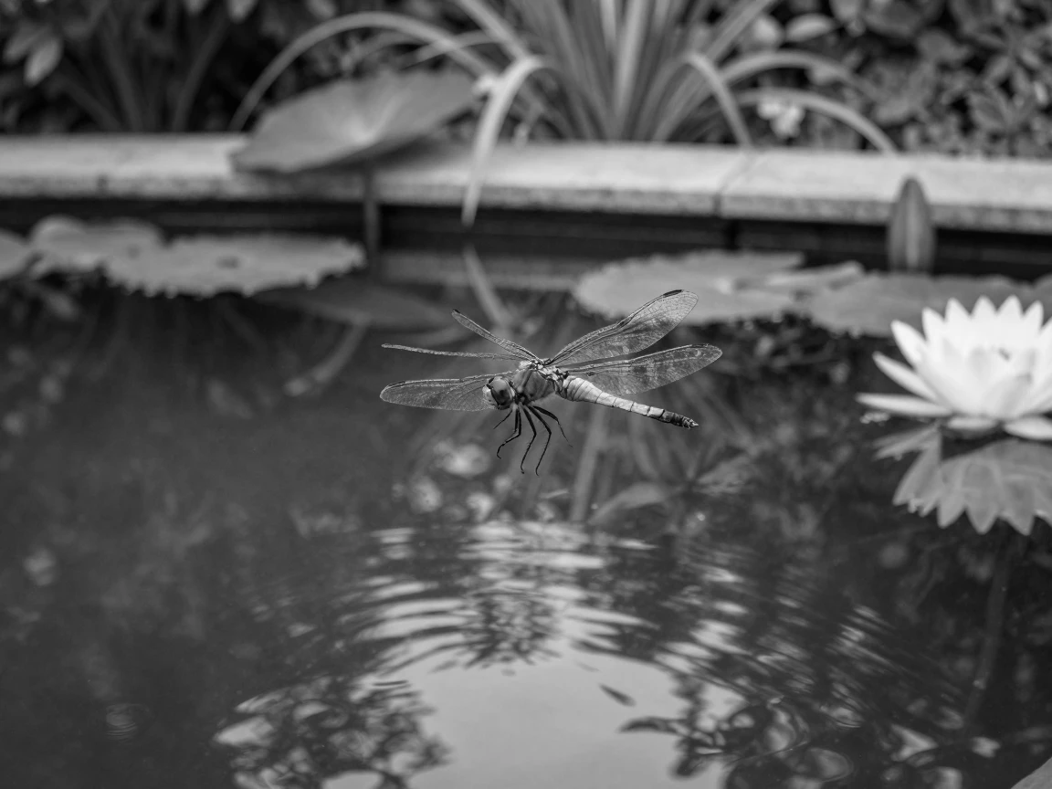 A dragonfly hovers above a still pond beside a quiet garden pond.