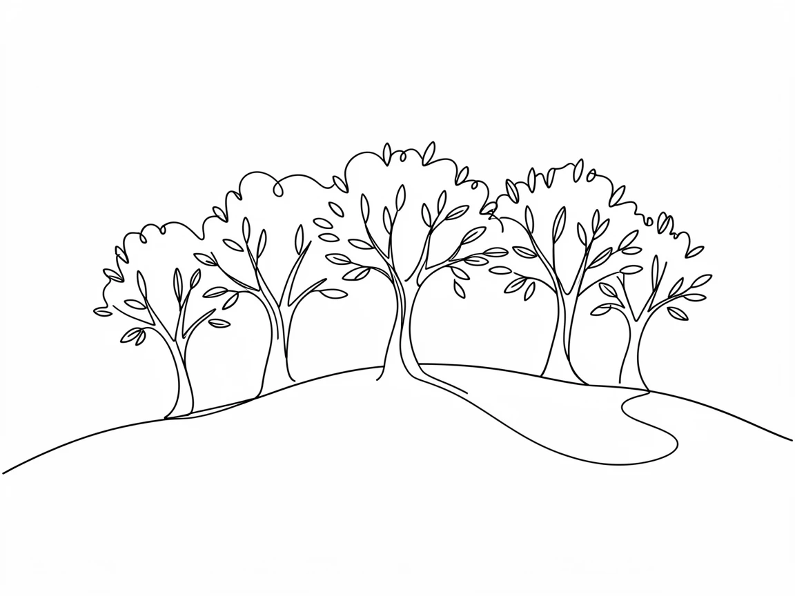 A grove of olive trees stretching across a sun-drenched hillside