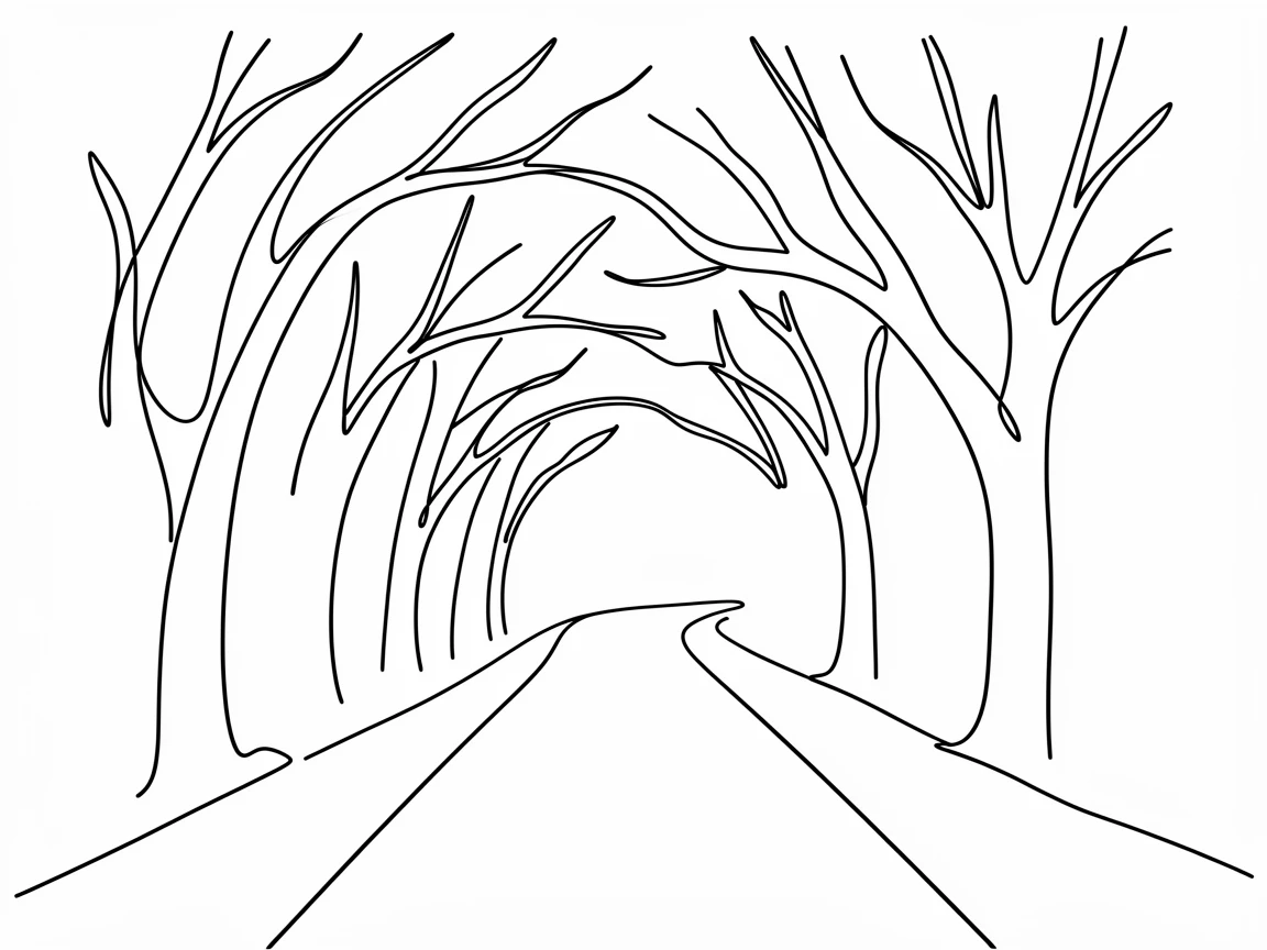 A tunnel of overhanging trees forming a natural archway over a road