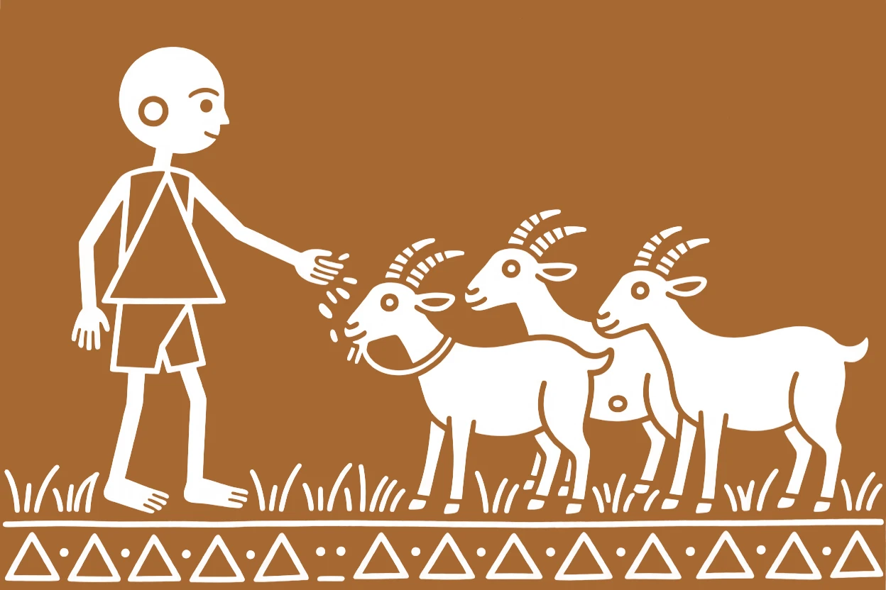 A barefoot boy feeding a herd of goats together.