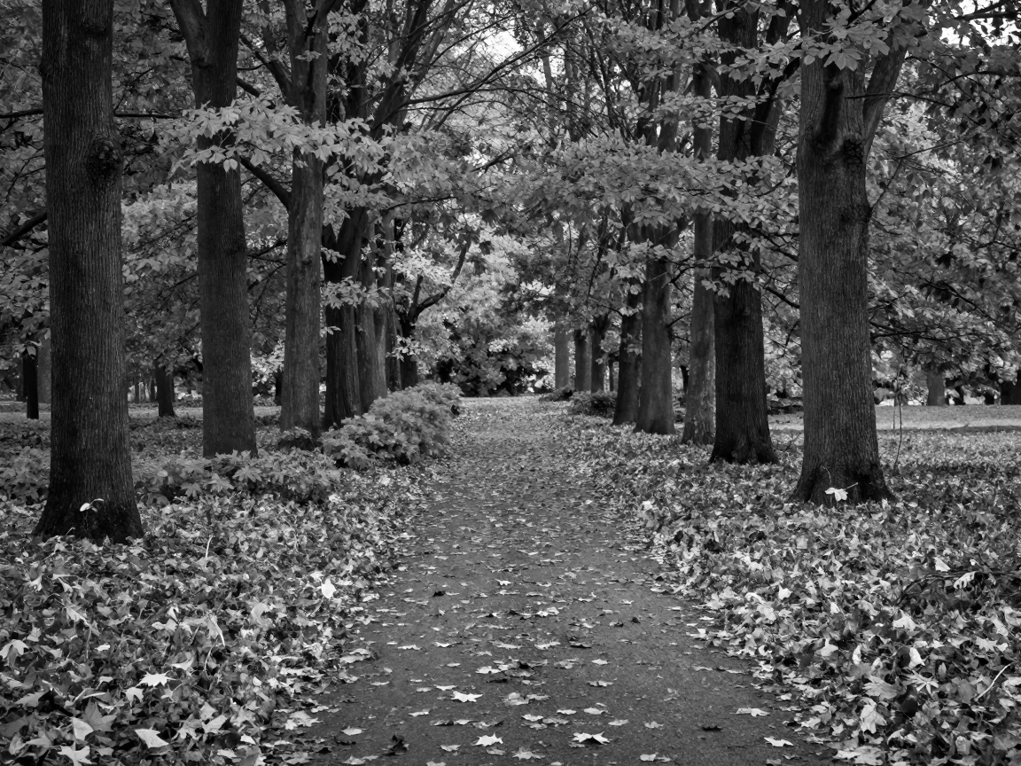 An autumn leaf-covered park crunches underfoot along a quiet path through a golden autumn forest.
