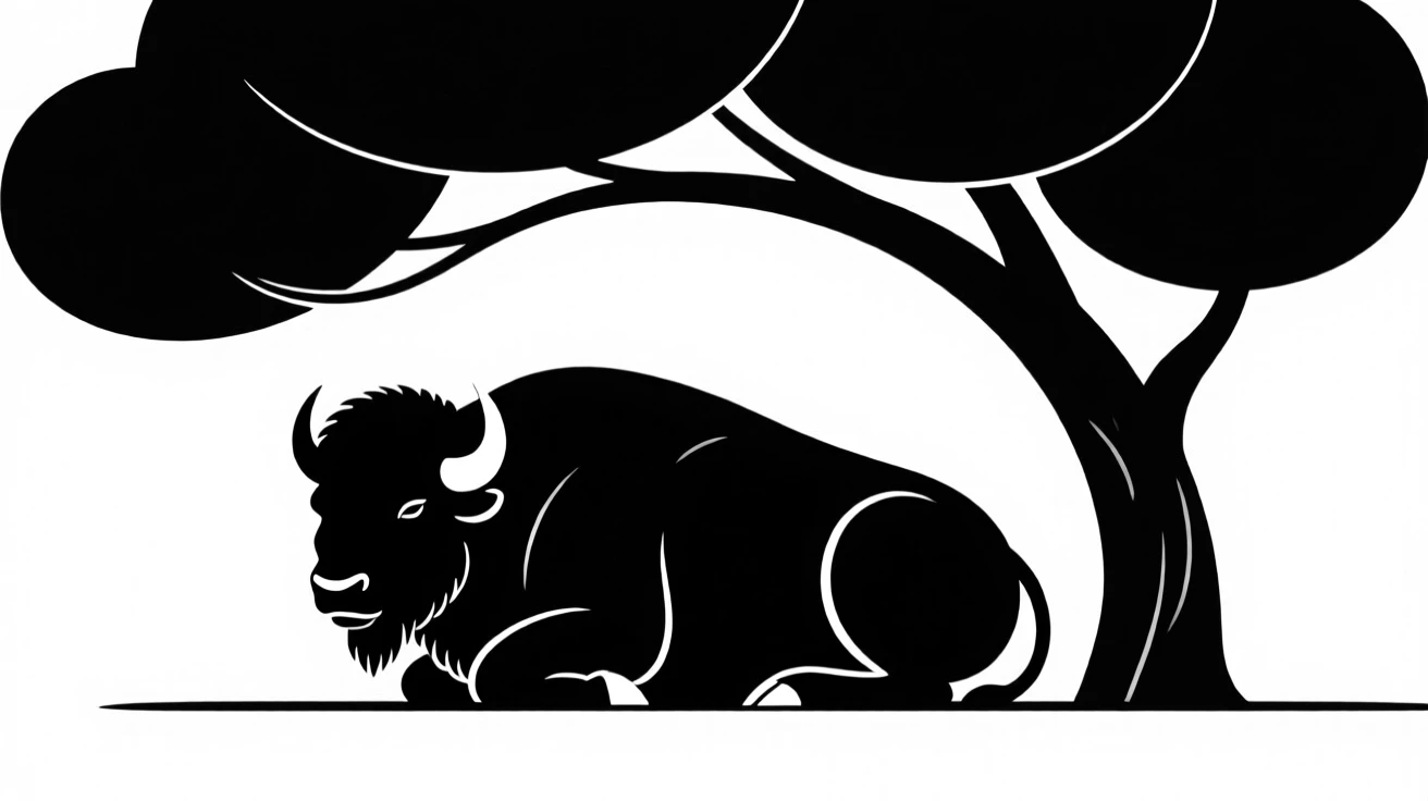 A bison resting beneath a shady tree.