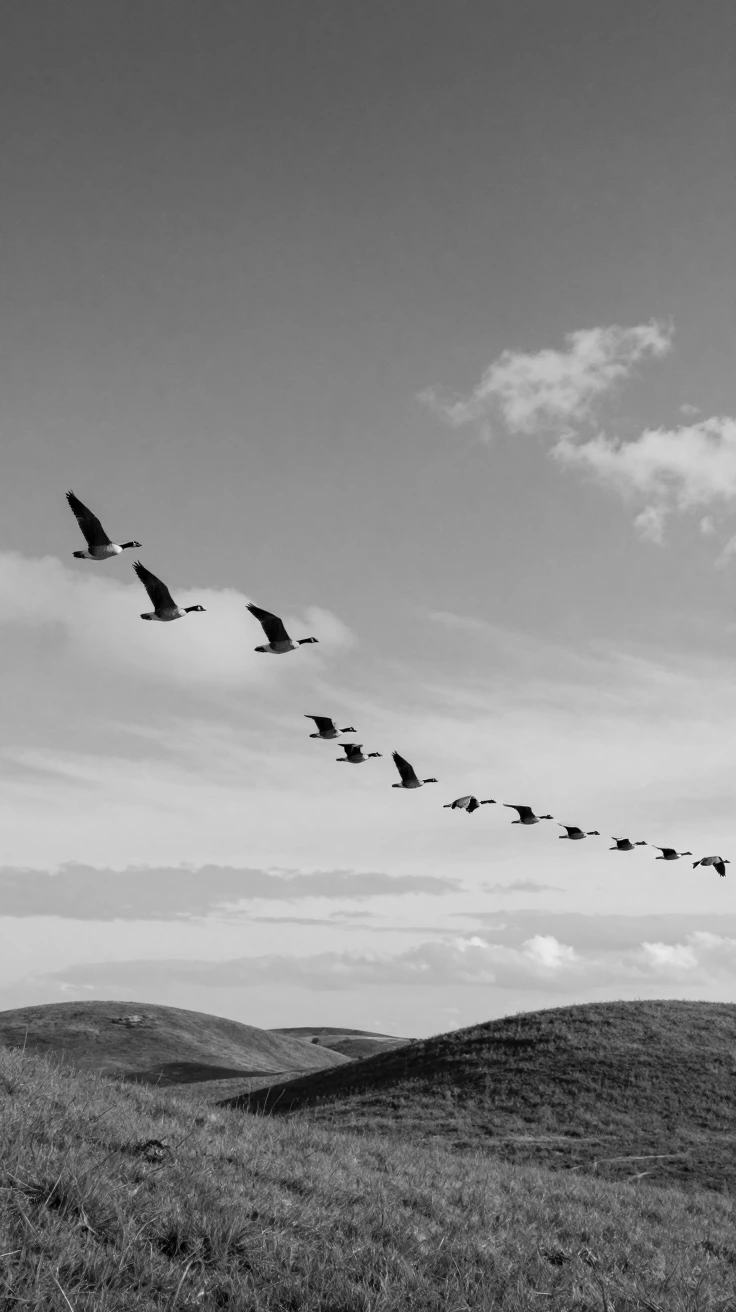 A flock of geese flies in formation across an open sky above rolling green hills.