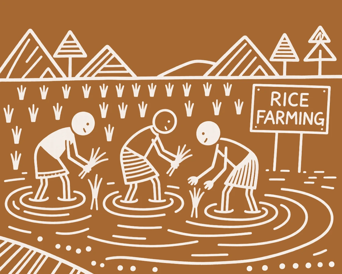 A farmer working together in a flooded rice paddy.