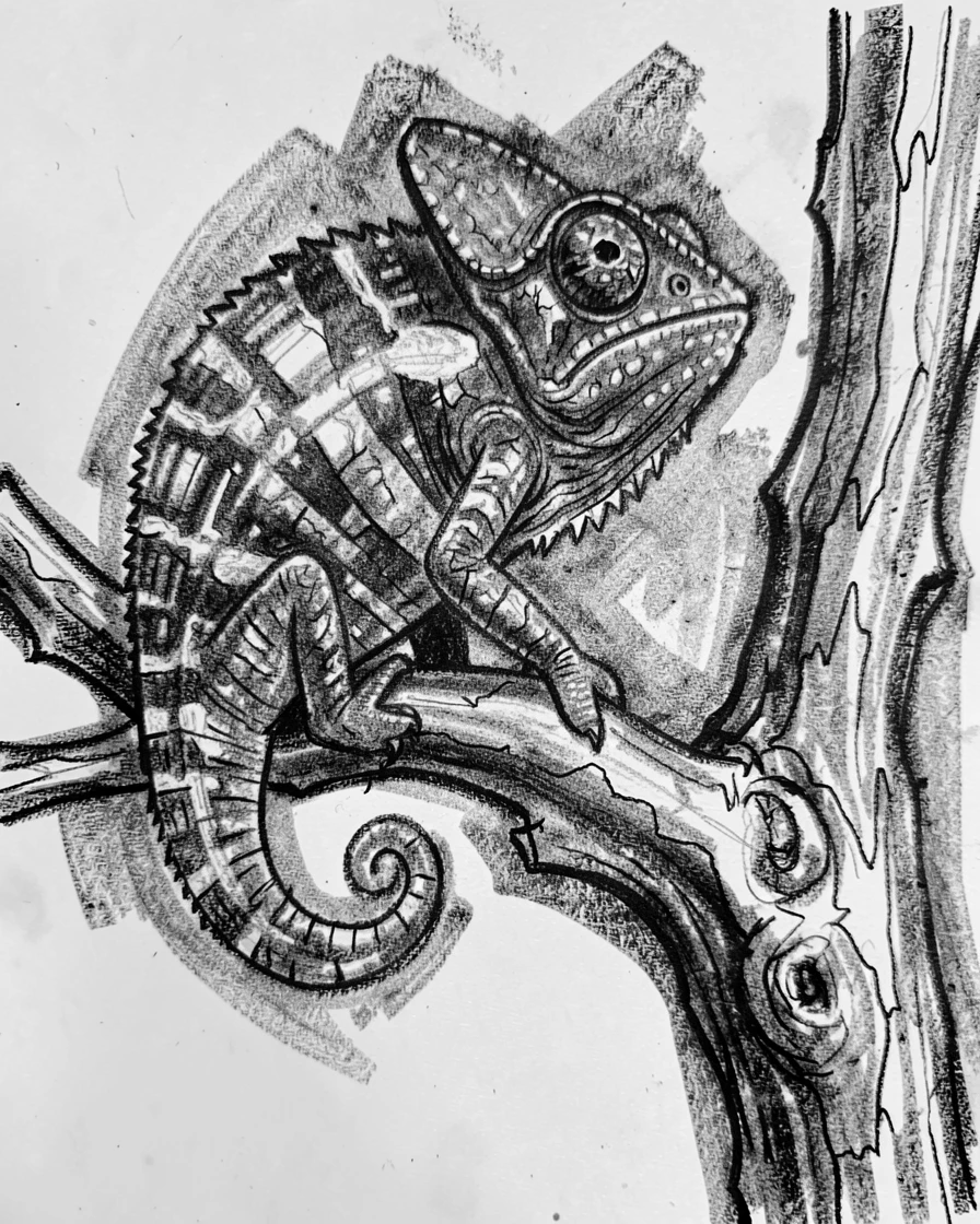 A chameleon perched on a weathered tree branch.