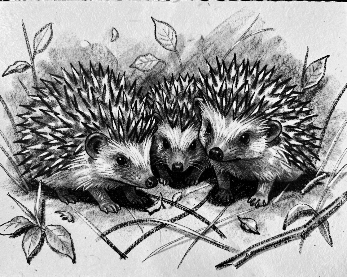 A hedgehog gathered together as a family in their natural habitat.