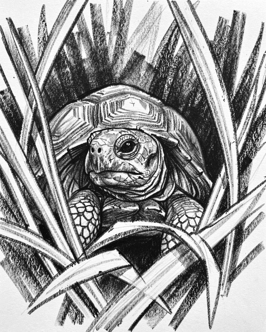 A wise old tortoise peeking out curiously from behind foliage.