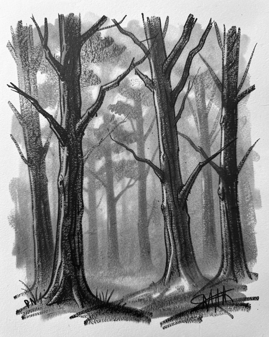 A dense misty forest with mist rising gently at first light.