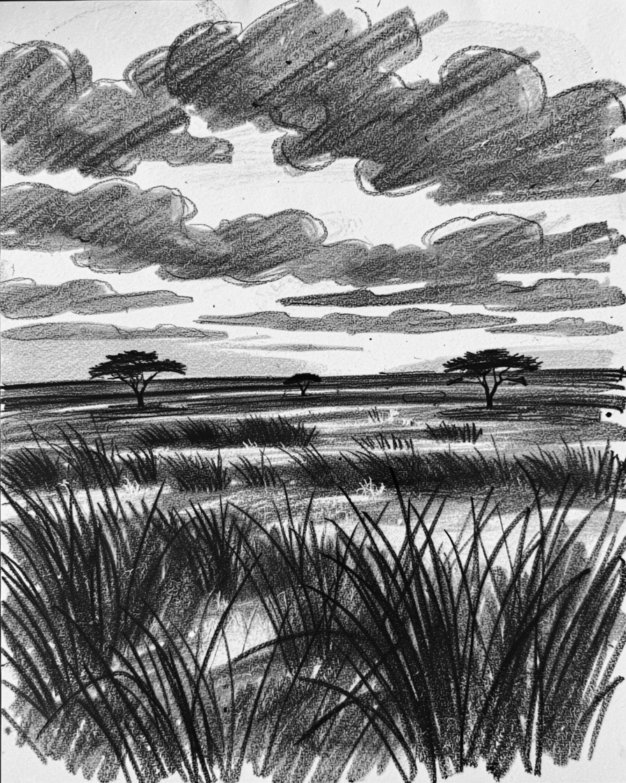 A sprawling savanna at sunset as clouds drift lazily overhead.