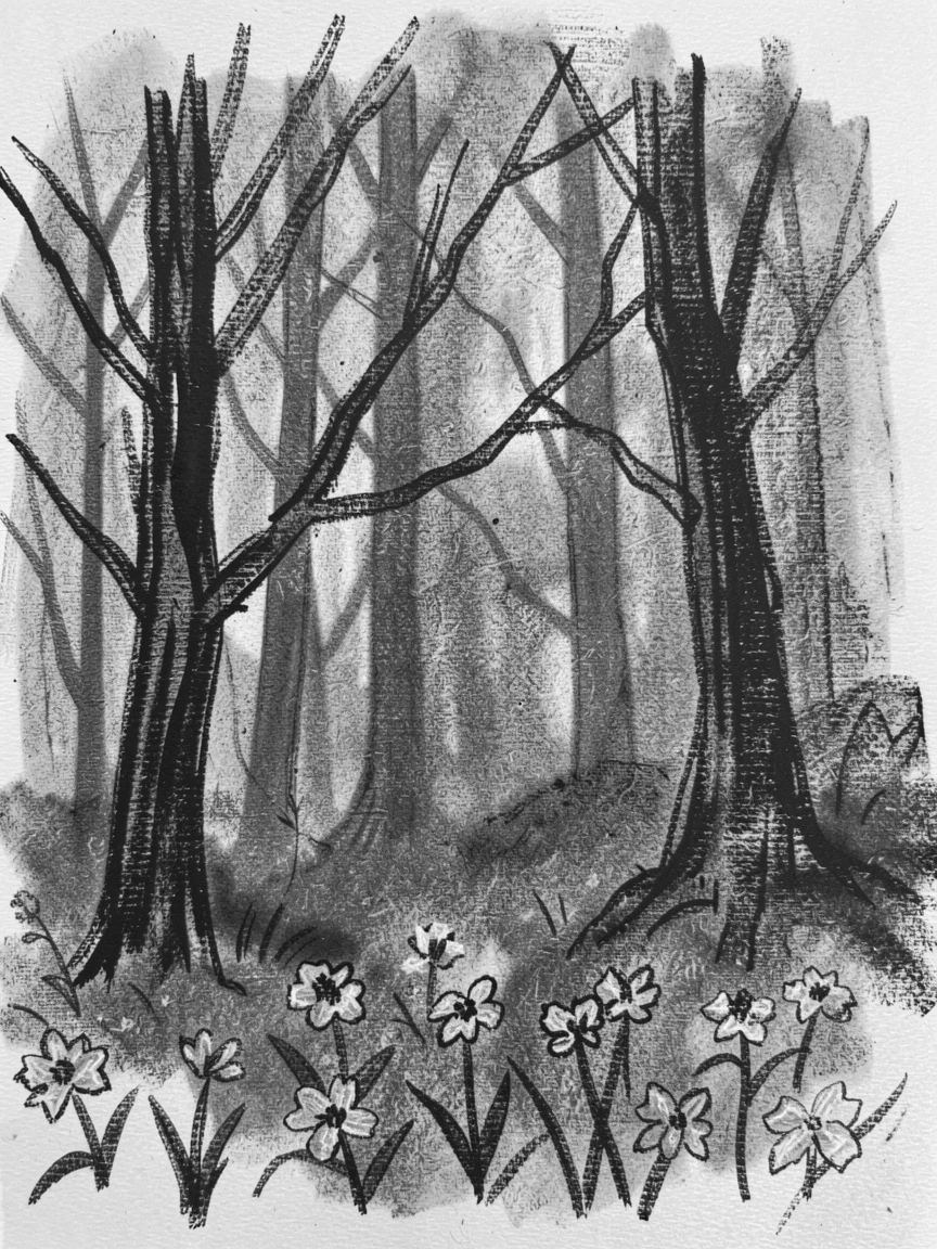 A dense misty forest with wildflowers scattered across the foreground.