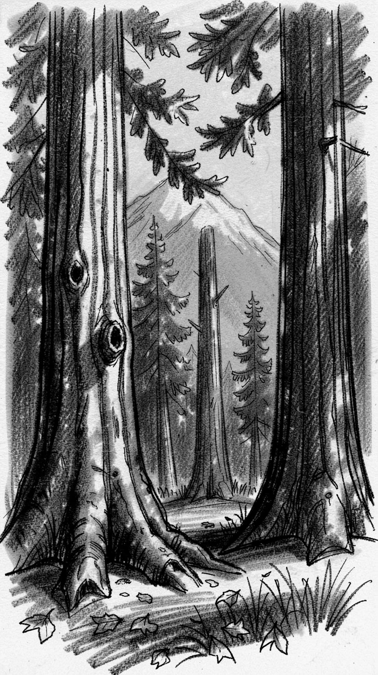 An ancient redwood grove with distant mountains fading into blue haze.
