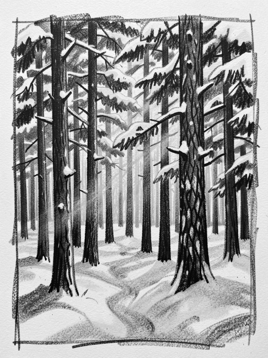A pine forest blanketed in fresh snow with golden light streaming through the trees.