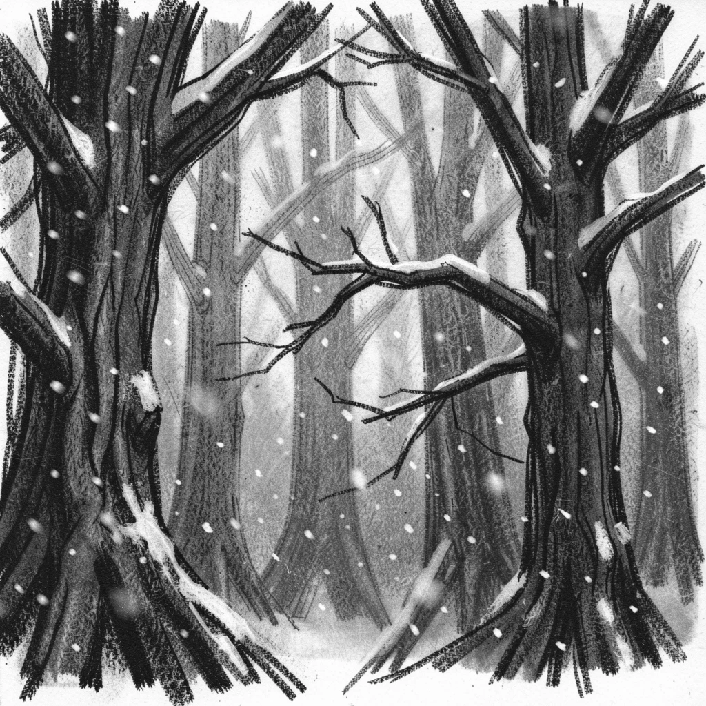 A dense misty forest as a light snow begins to fall.