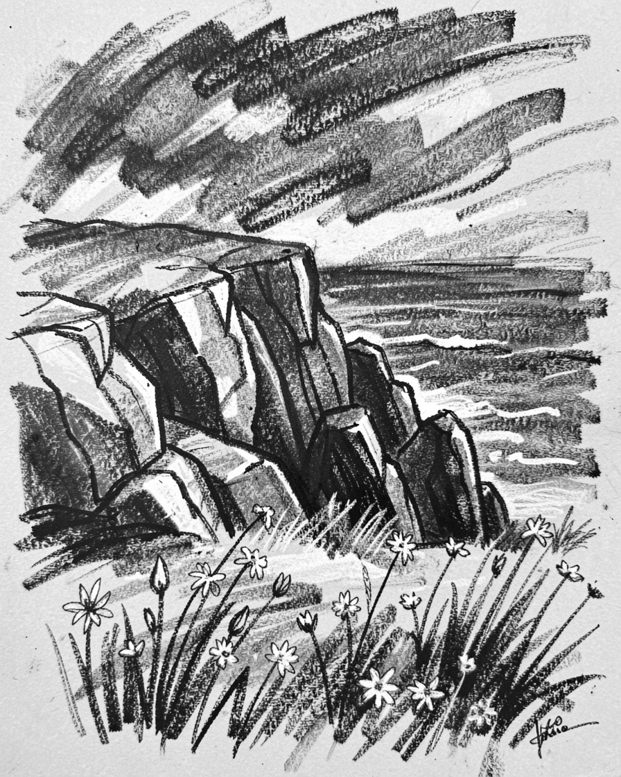 A wind-swept coastal cliff with wildflowers scattered across the foreground.