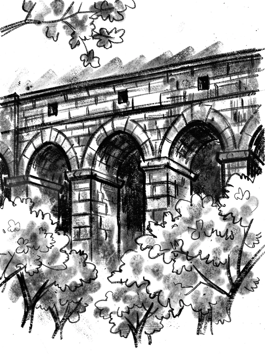 An ancient Roman aqueduct framed by blooming trees in the foreground.