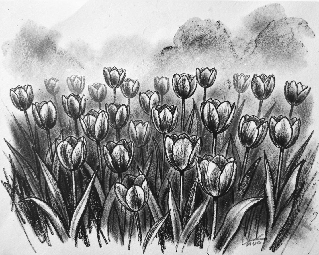 A spring meadow bursting with blooming tulips, with a gentle mist rolling through the background.