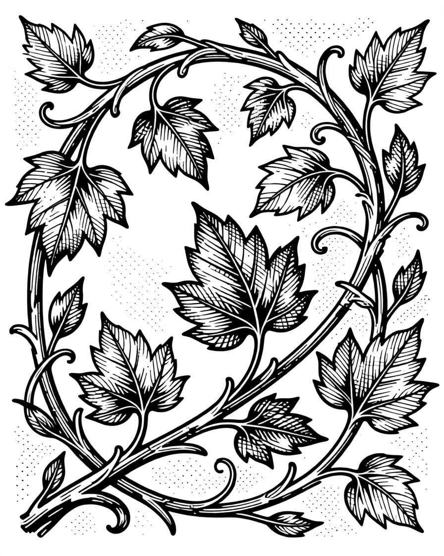 A decorative border of intertwining vines and leaves arranged in flowing, organic symmetry, with intricate detailing that rewards close viewing, forming a quietly mesmerizing decorative composition.