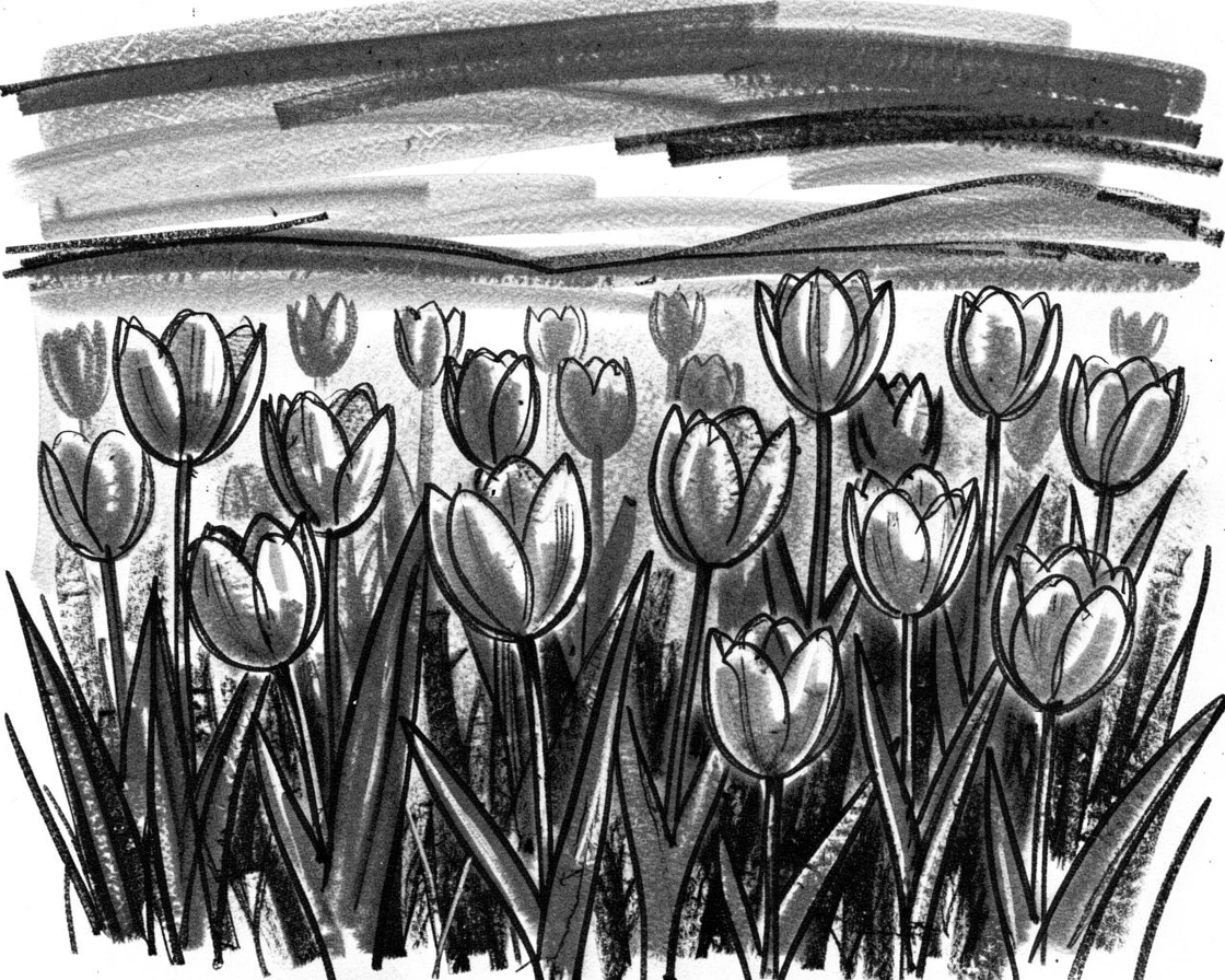 A spring meadow bursting with blooming tulips, as the last light of day fades to dusk.