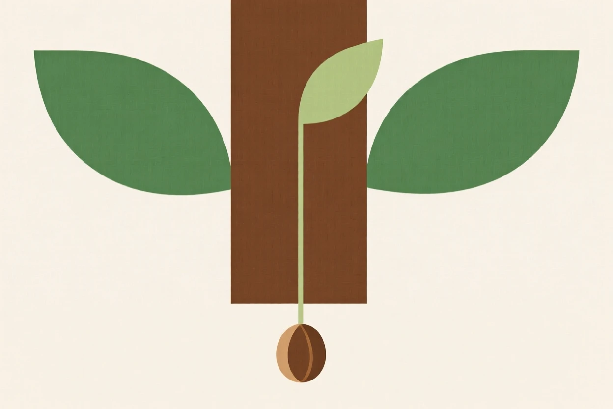 A single seed sprouting into a strong sapling